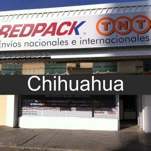 redpack chihuahua